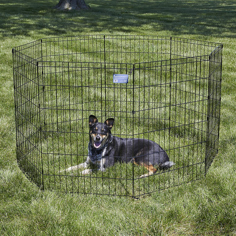 Midwest foldable metal outlet exercise pen